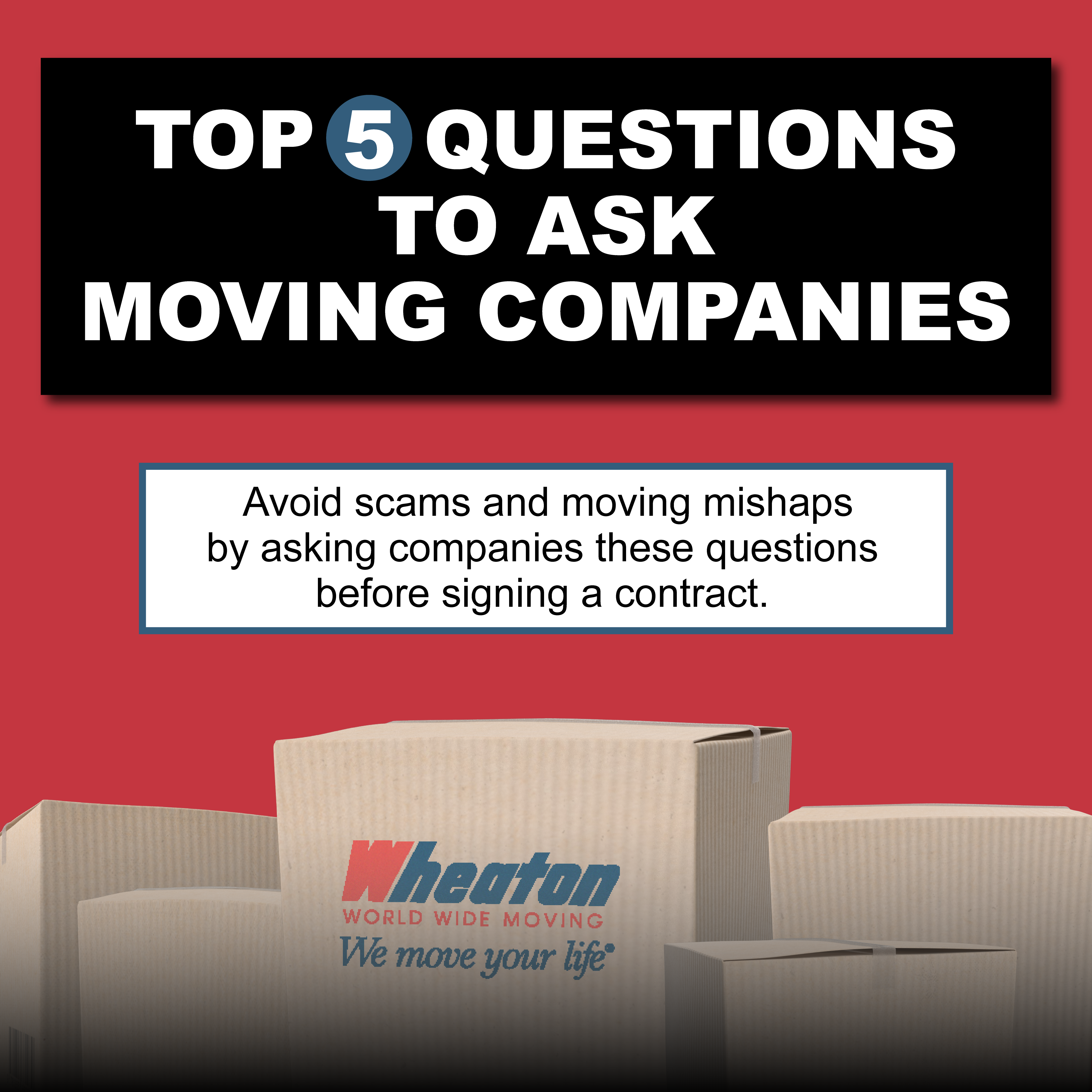 Wheaton moving company questions infographic