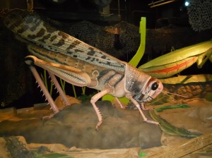 Bug Replica 2_AMWAT