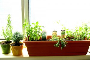 may_window-300x202