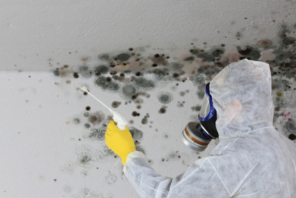 Person in PPE treating mold.