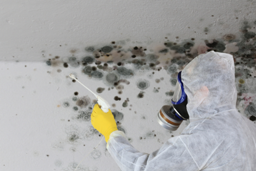 Person in PPE treating mold.