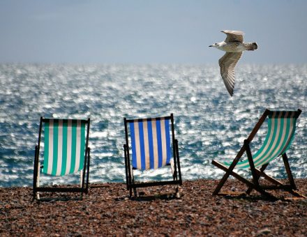 3 beach chairs on beach with seagull flying overhead