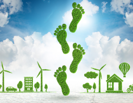Graphic of leafy footprints between a green building and a green house with wind turbines and a blue sky.