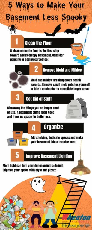 An infographic on how to improve the state of your basement.