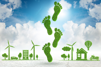 Graphic of leafy footprints between a green building and a green house with wind turbines and a blue sky.